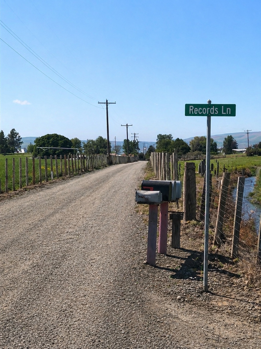 A blended, angle-corrected view of the Records Lane sign and road.