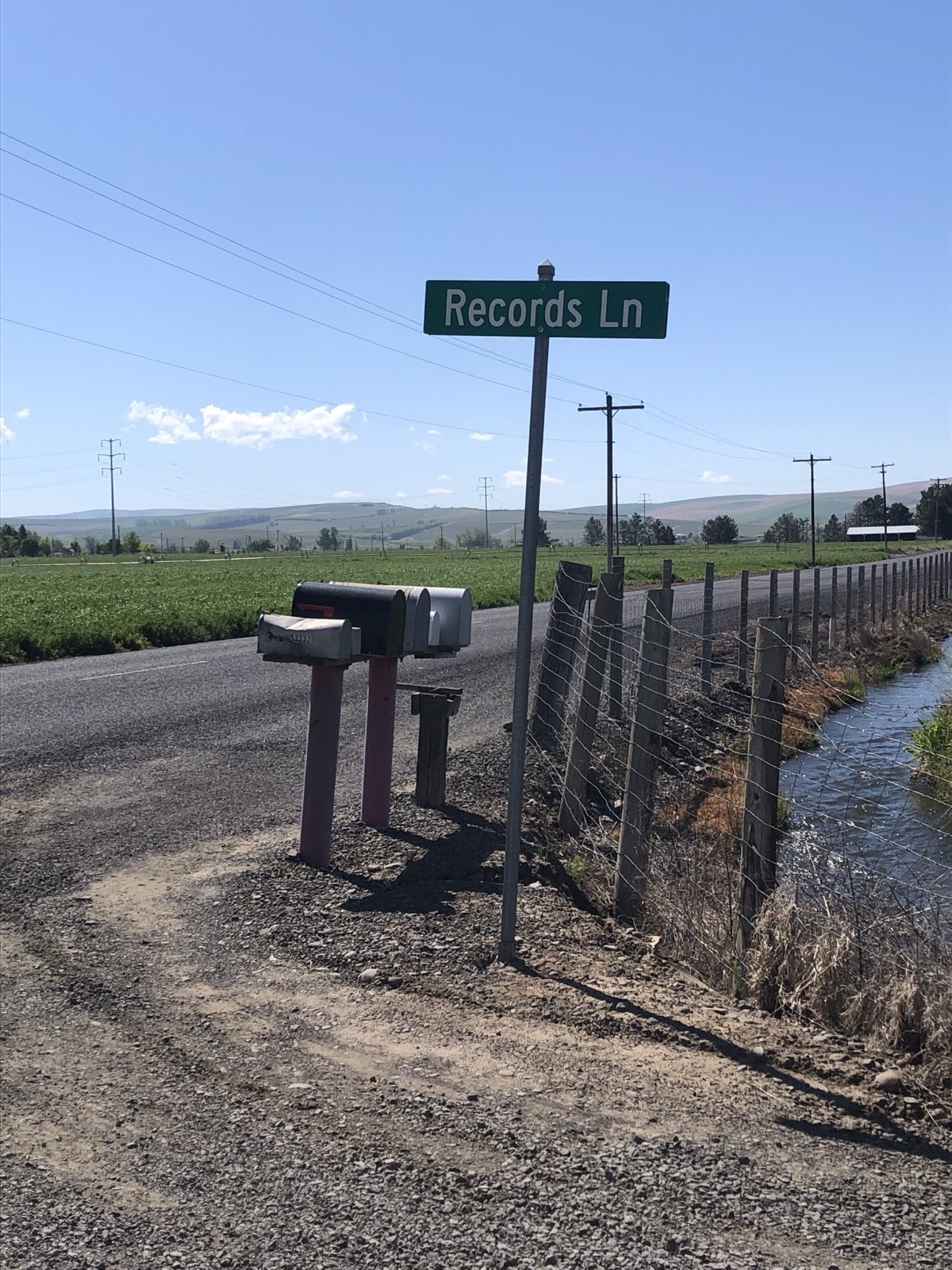 Green &ldquo;Records Ln&rdquo; street sign standing beside a gravel road and irrigation ditch, wheat fields and low hills behind it.