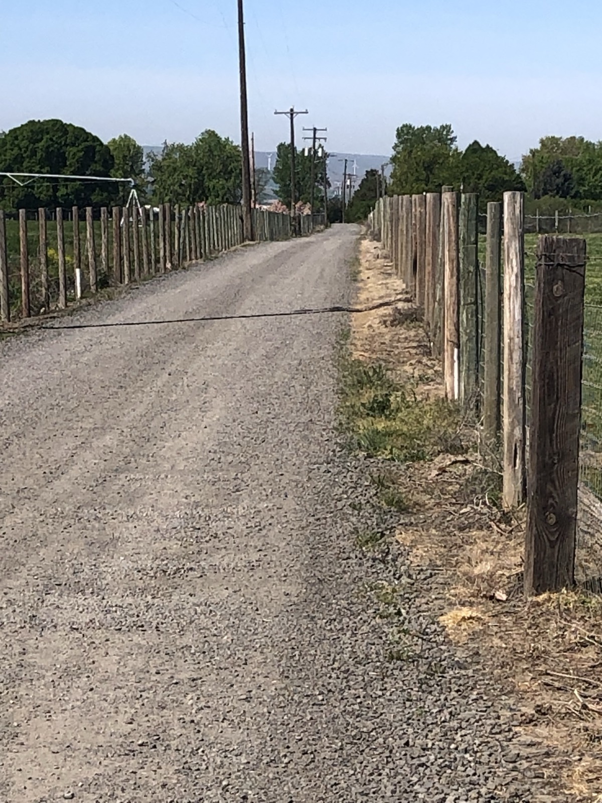 Gravel farm road running straight between green fields toward distant hills under a blue sky.